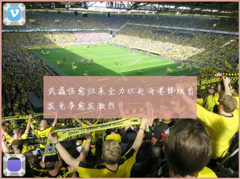 武磊伤愈归来全力以赴海港锋线首发竞争愈发激烈